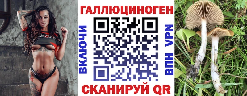 как найти наркотики  Нюрба  Псилоцибиновые грибы MAGIC MUSHROOMS 